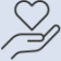 icon1